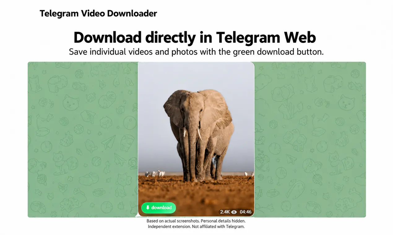 Telegram Video Downloader gallery image
