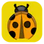 Bug Cave