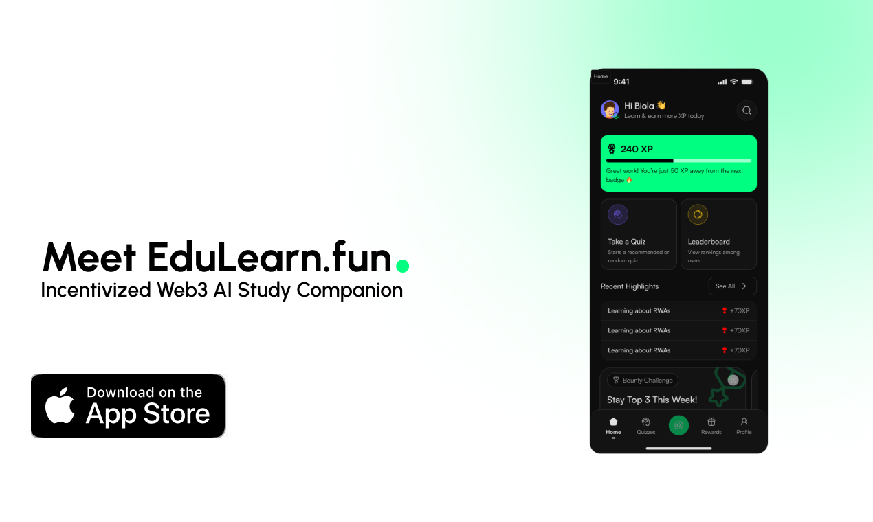 EduLearn.fun gallery image