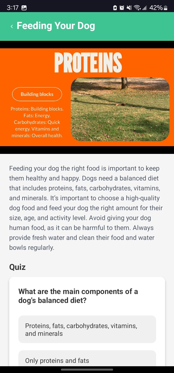 Petready media 2