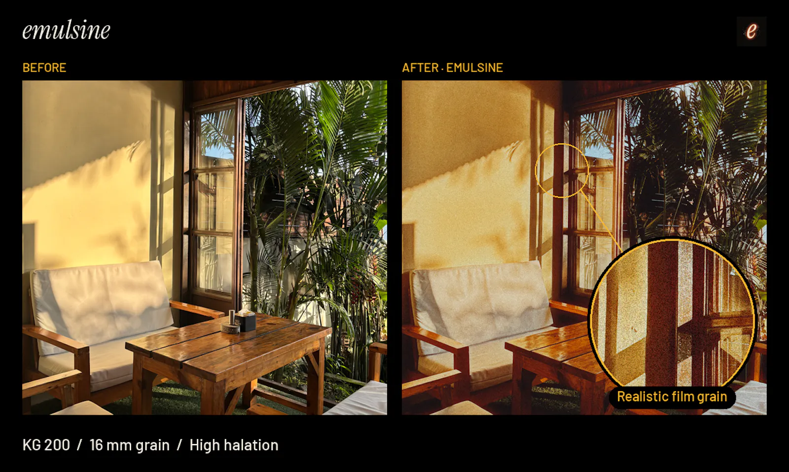 Emulsine: Film Emulation Camera screenshot 3