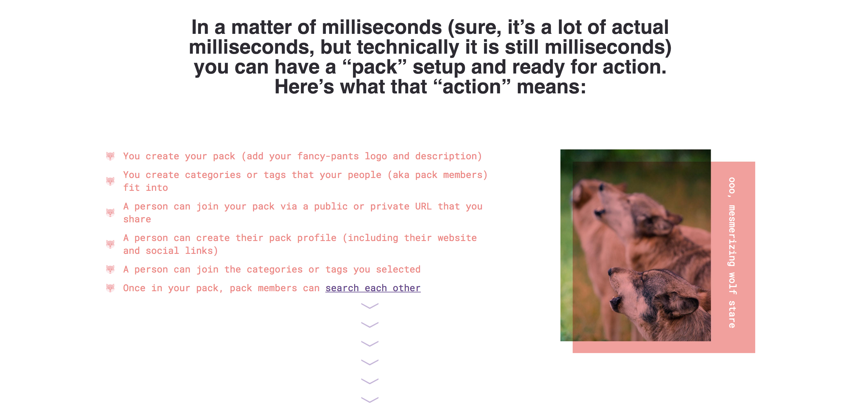 YourPack gallery image