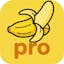 Nano Banana Pro