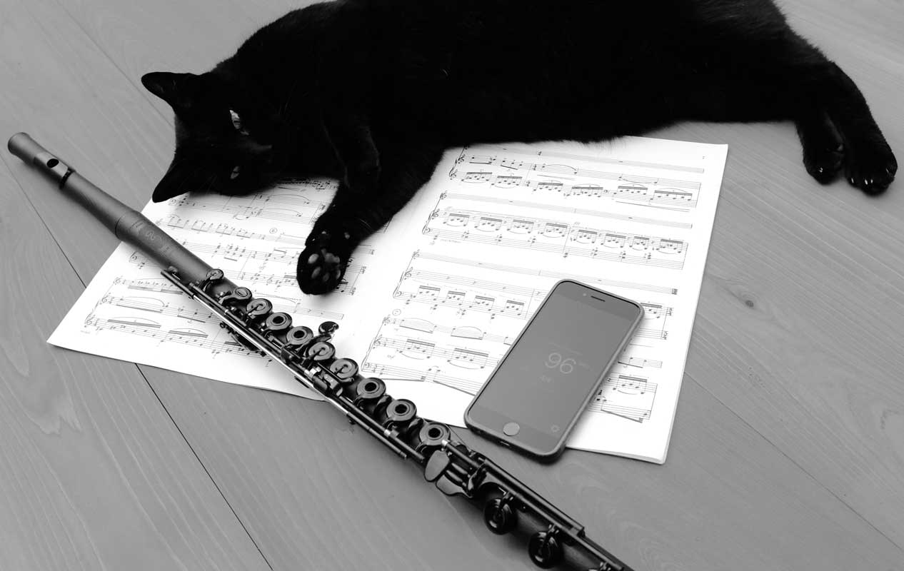 Taptronome gallery image