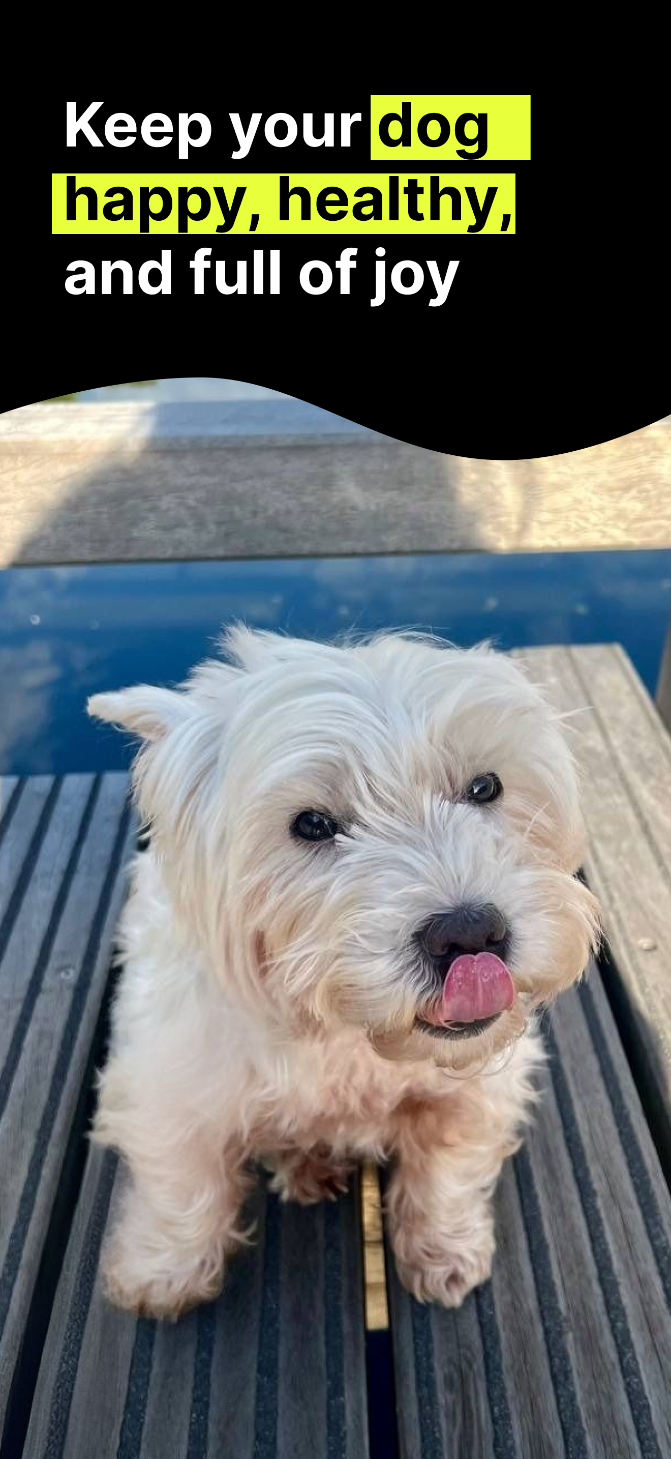 PoopDog - Scan your dog’s poop. Track their day. Catch issues early media 2