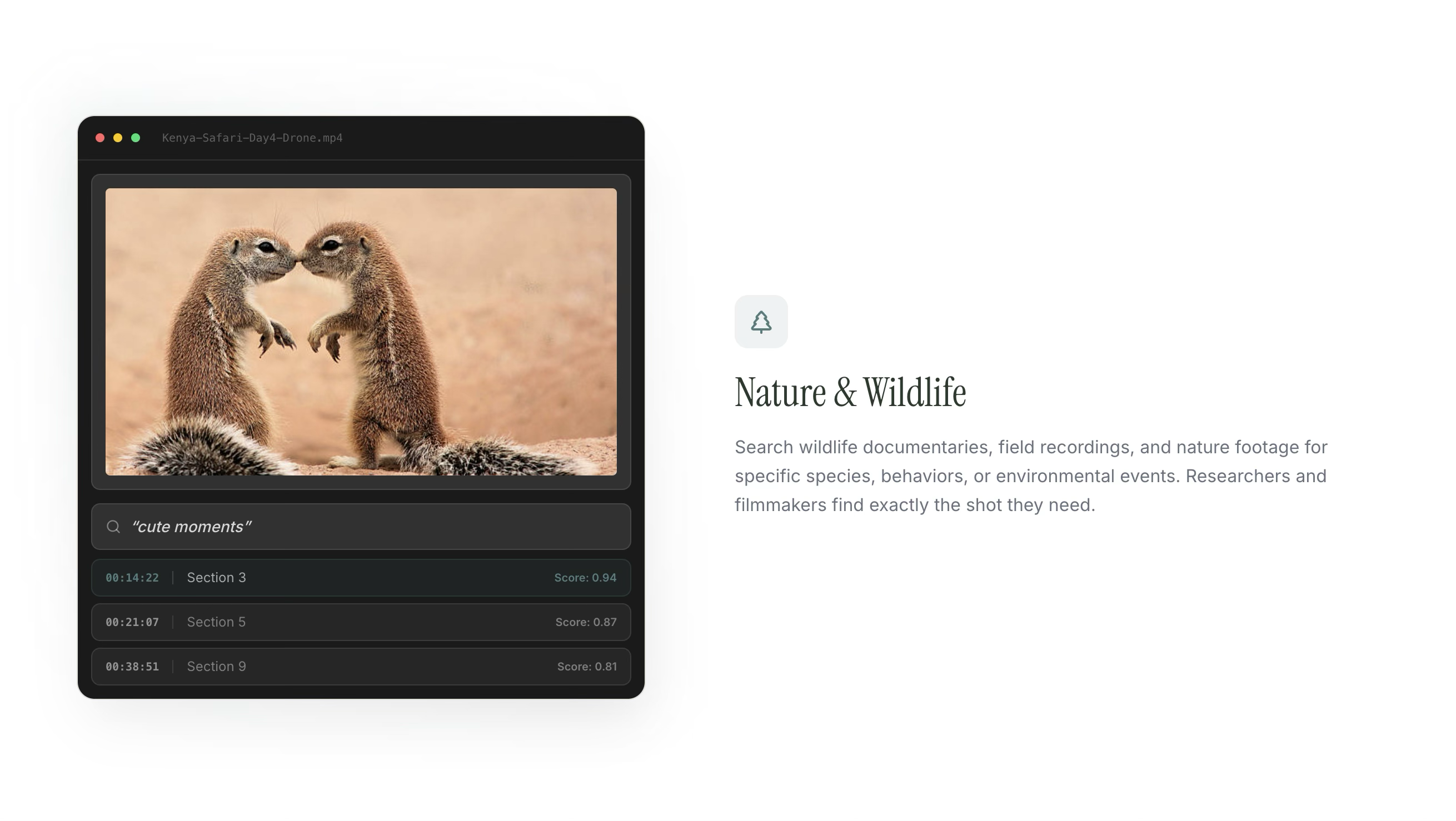 VideoSearch  gallery image