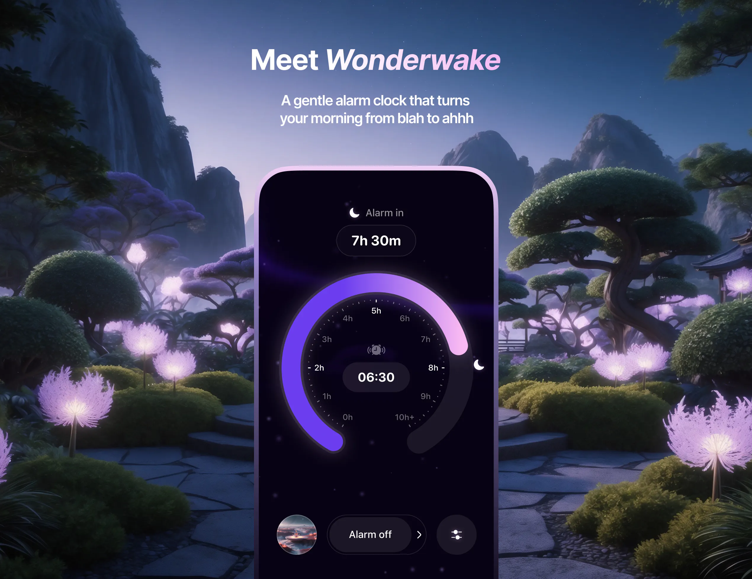 Wonderwake gallery image