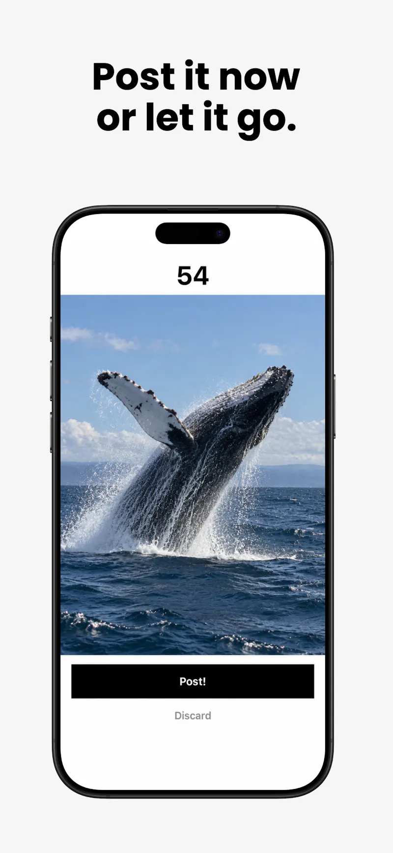 Siqpik screenshot 4