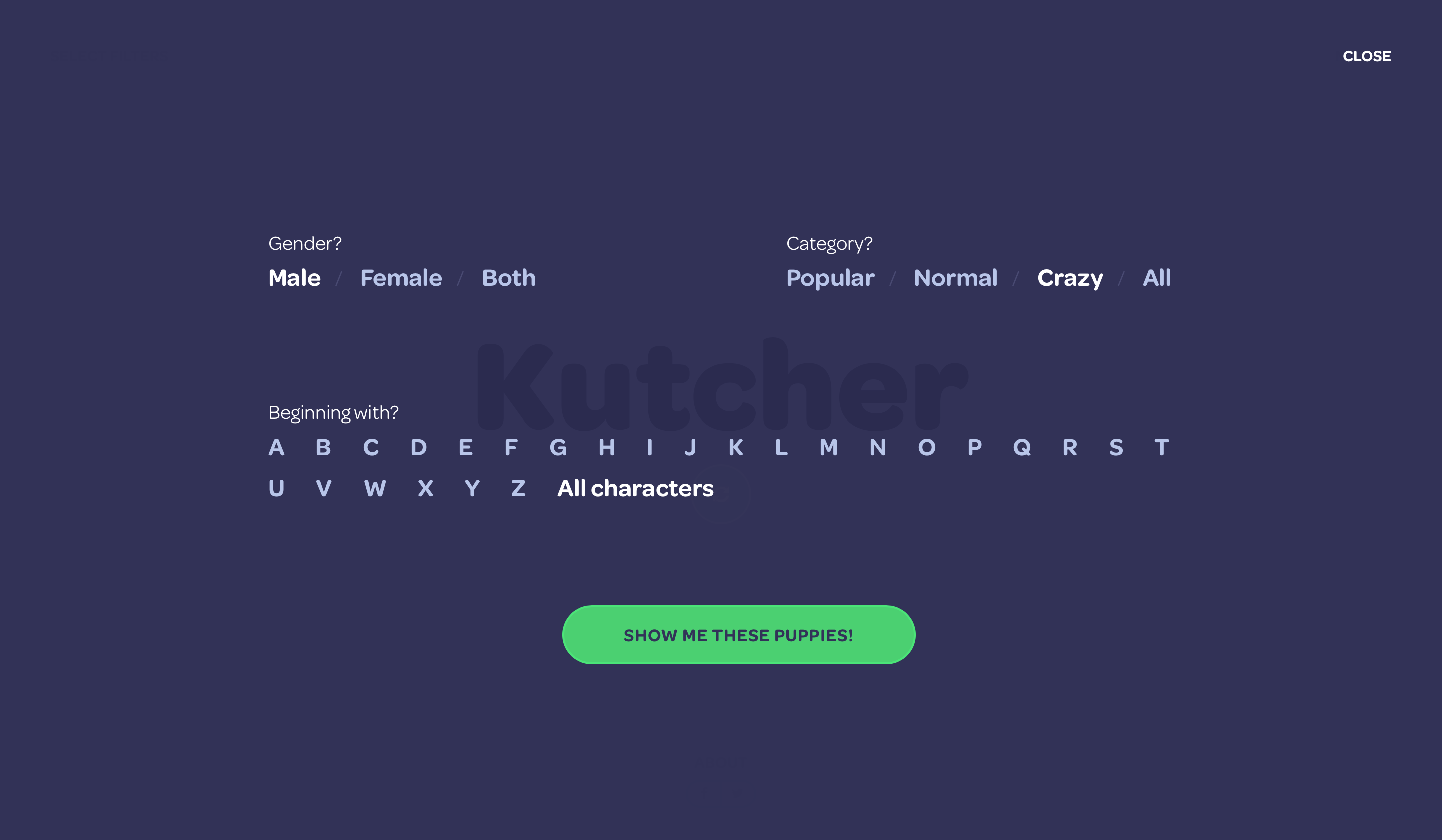 Happy Puppy gallery image