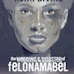 The Wedding & Disaster of Felona Mabel