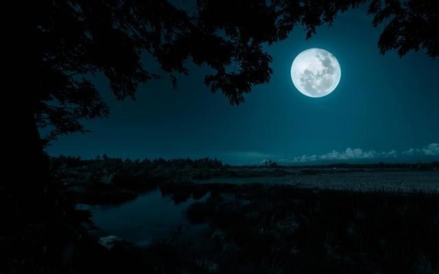 Mídia 1 de App de meditação - Sincronize com sua alma.Respirar.Curar.Repita.