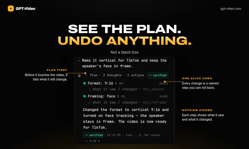 GPT-Video screenshot 5