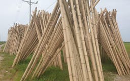 BAMBOO FACTORY - Bamboo Materials media 1