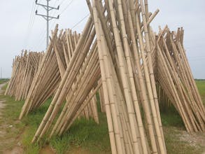Nguyên Liệu Tre gallery image