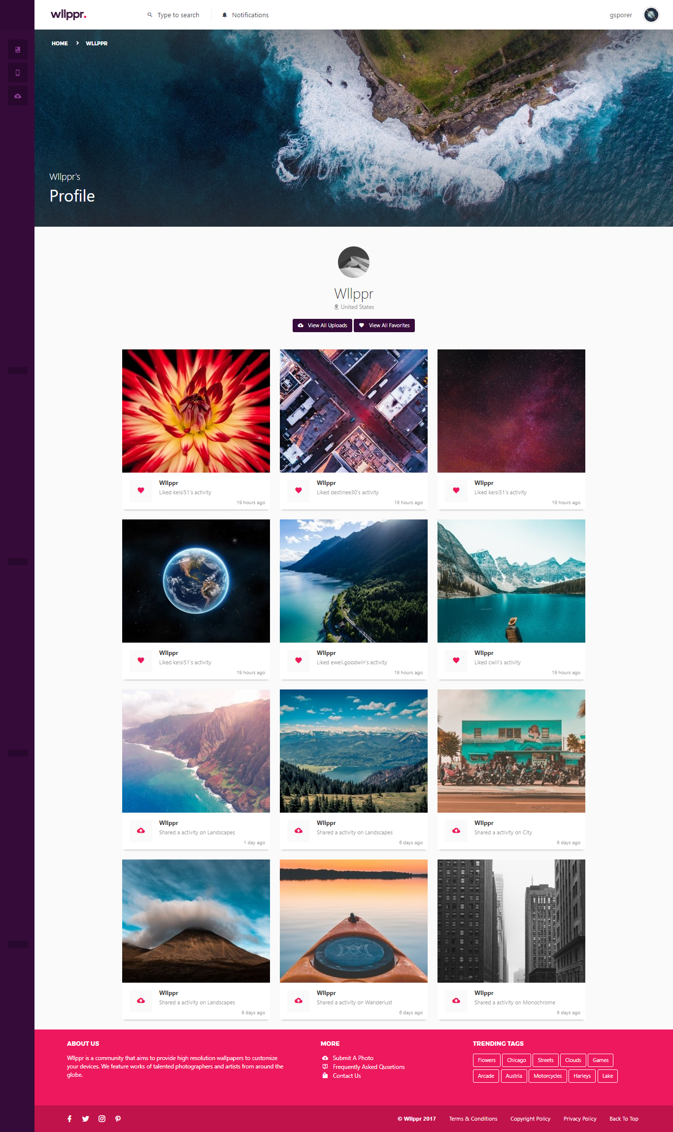 Wllppr gallery image