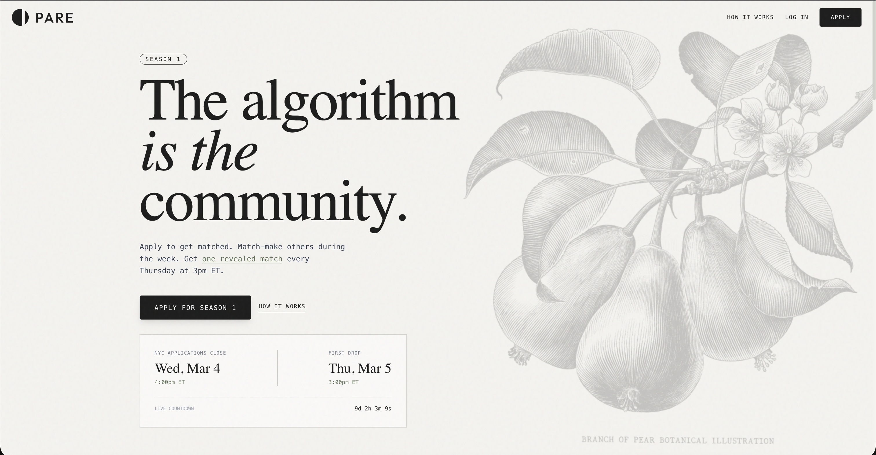Pare - Main product screenshot demonstrating key features and user interface