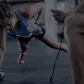 Exercise.com