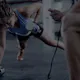 Exercise.com