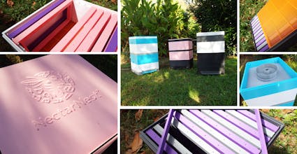 NectarNest gallery image