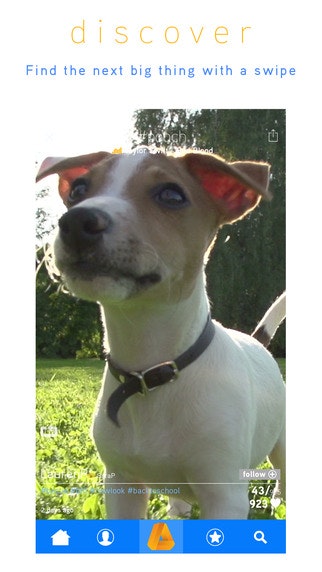 Anthem gallery image