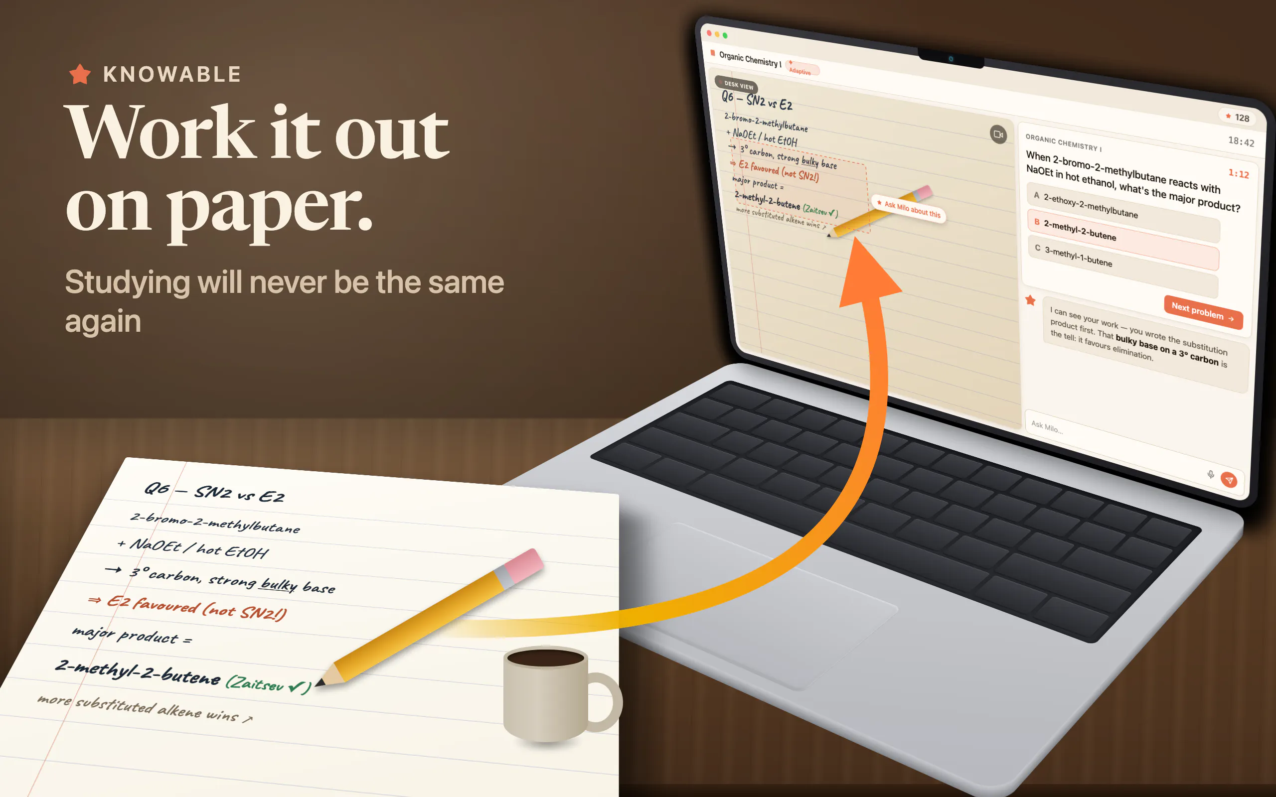 Knowable on Safari gallery image