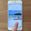 intoLive