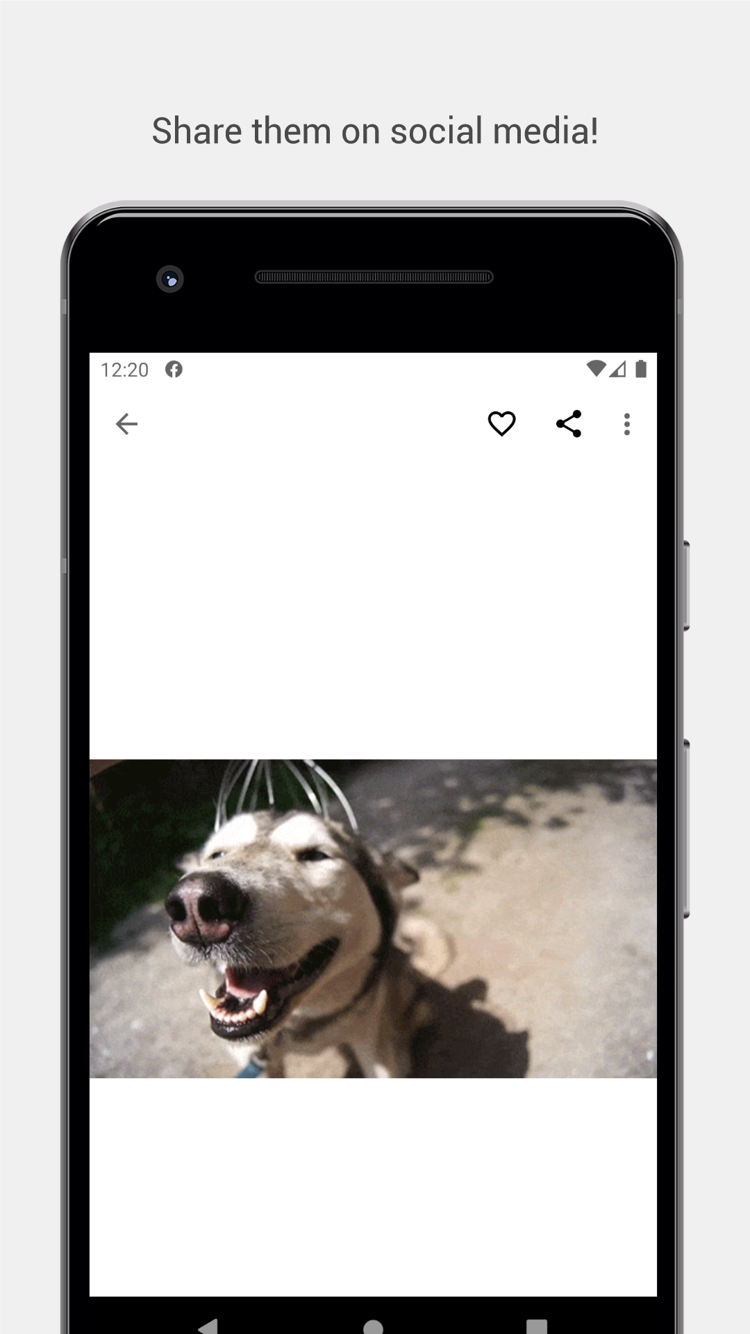 Purrito gallery image