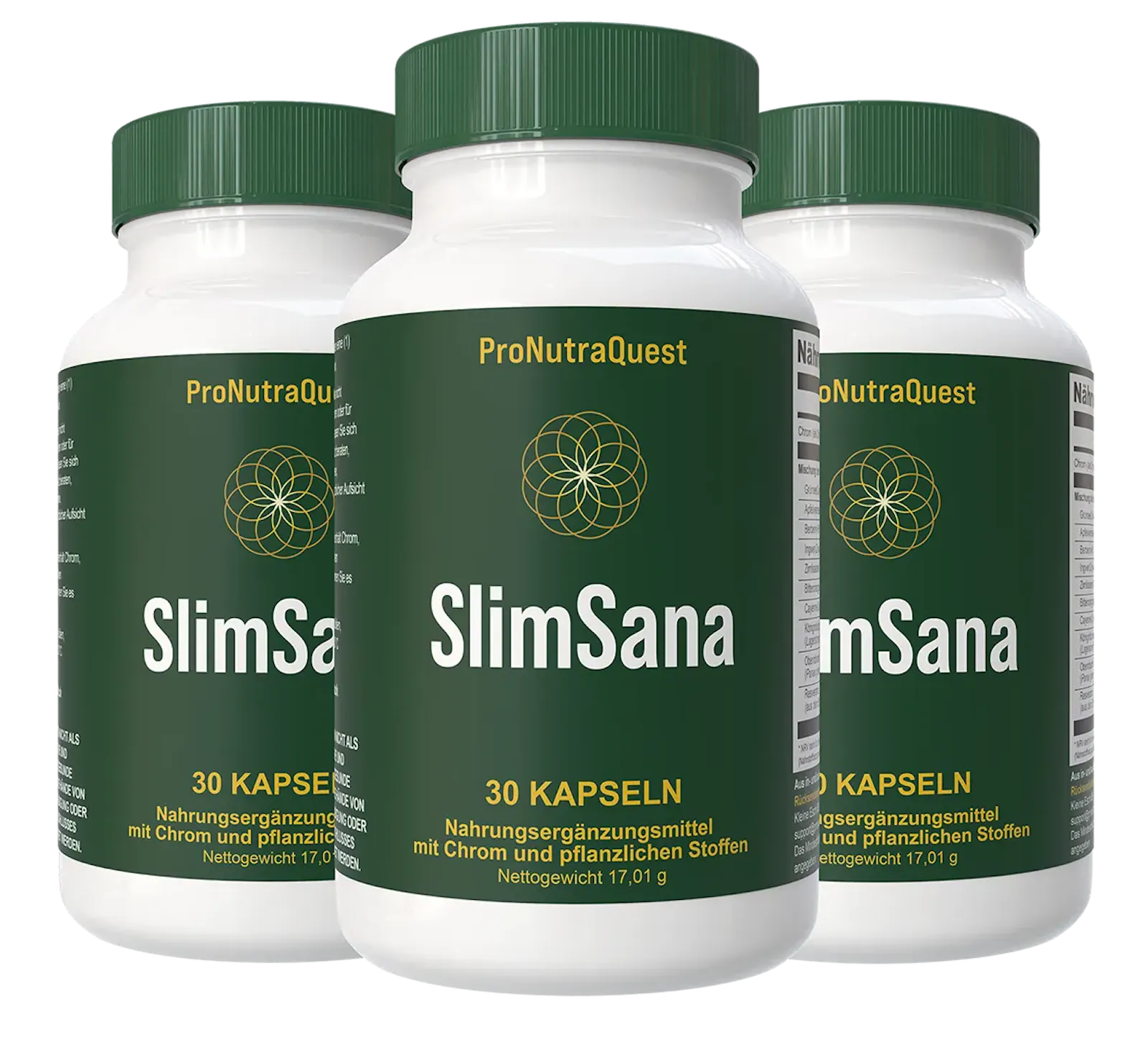 SlimSana screenshot 1
