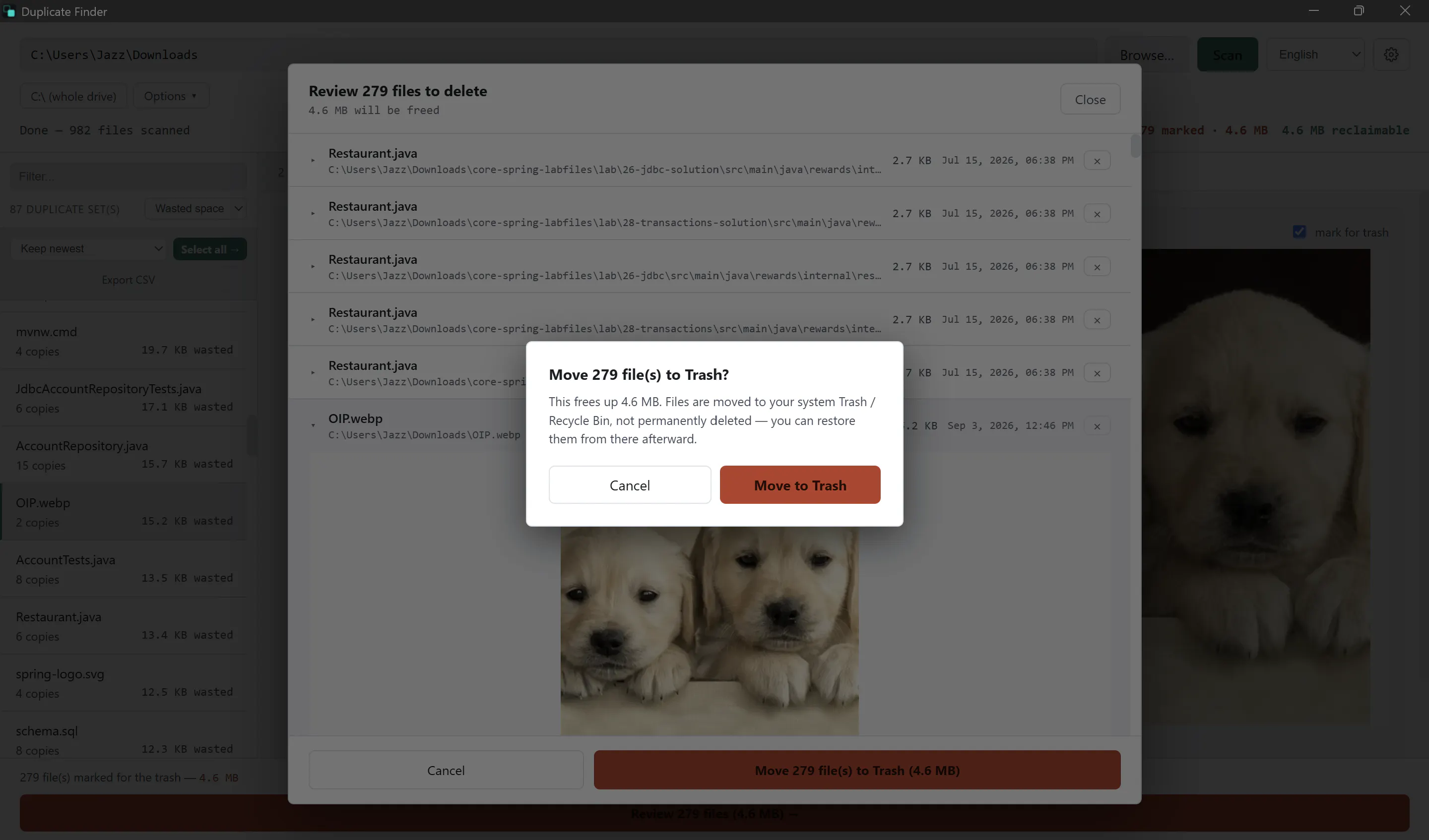 Duplicate Finder gallery image
