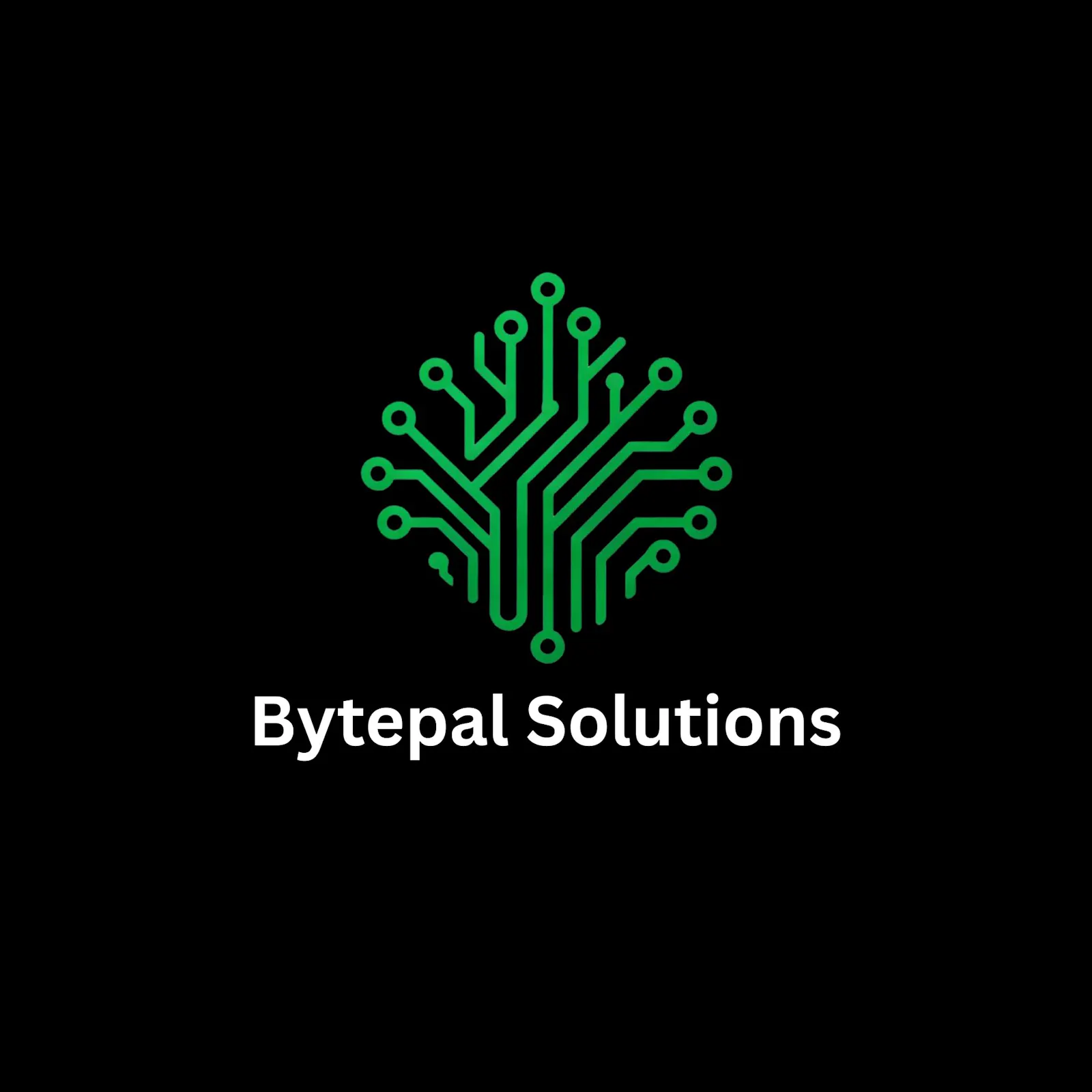 Bytepal Solutions LLC screenshot 3