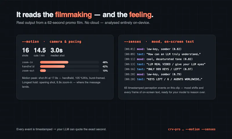 llm-real-video Pro screenshot 3