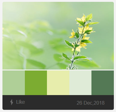 ColorKik gallery image