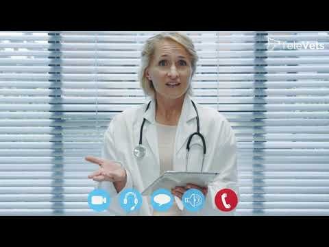 TeleVets gallery image