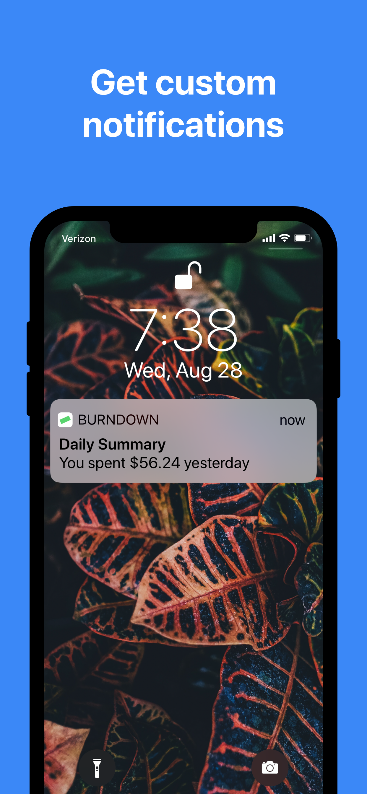 Budget Burndown gallery image