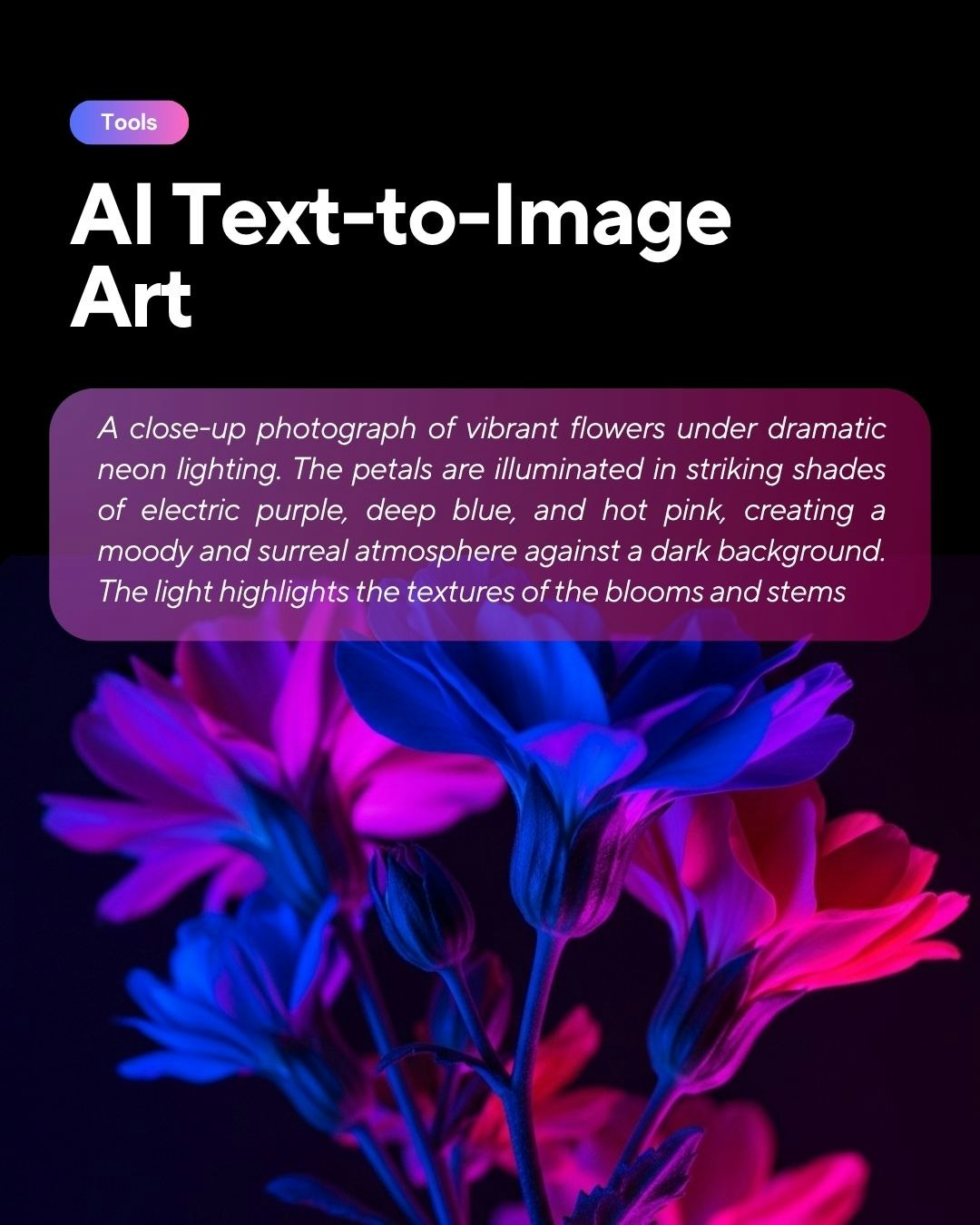 Media Imagyn.art - Nơi sáng tạo gặp ai 3