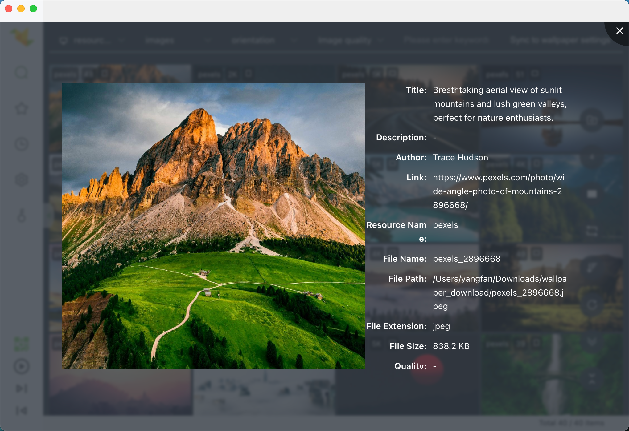 Flying Bird Wallpaper gallery image