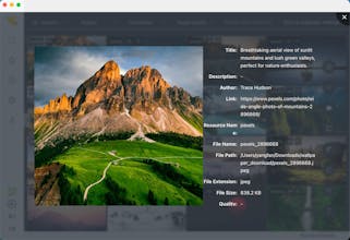 Flying Bird Wallpaper gallery image