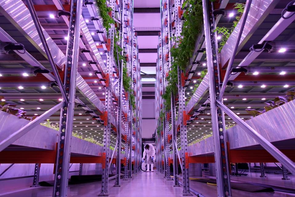 Cool Farm gallery image