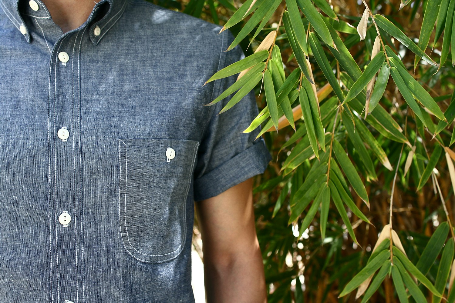 Rogue Territory gallery image