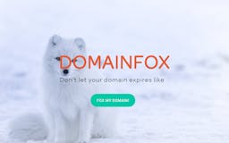 DomainFox media 2