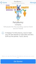 Party Bunny gallery image