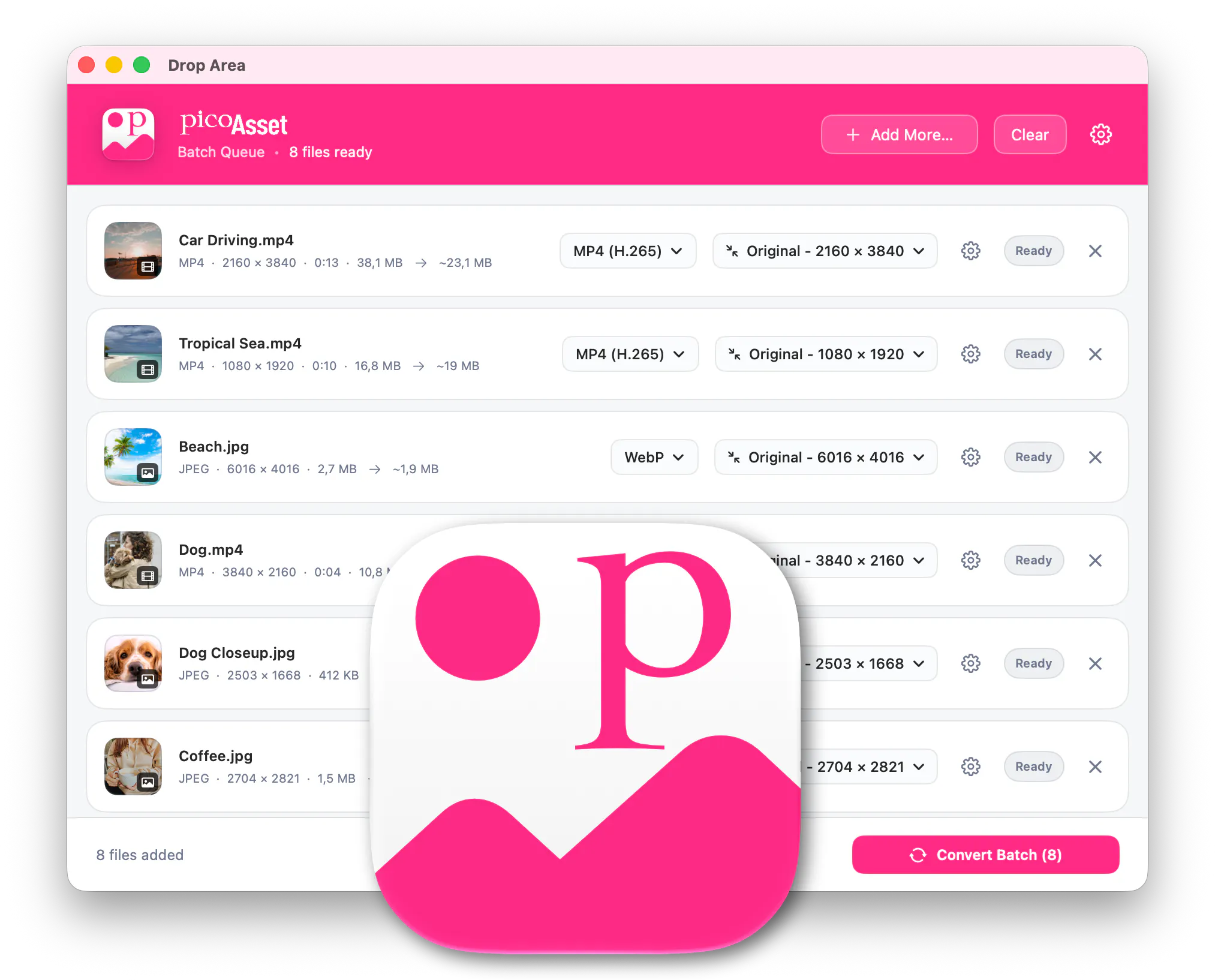 PicoAsset - Image Converter logo