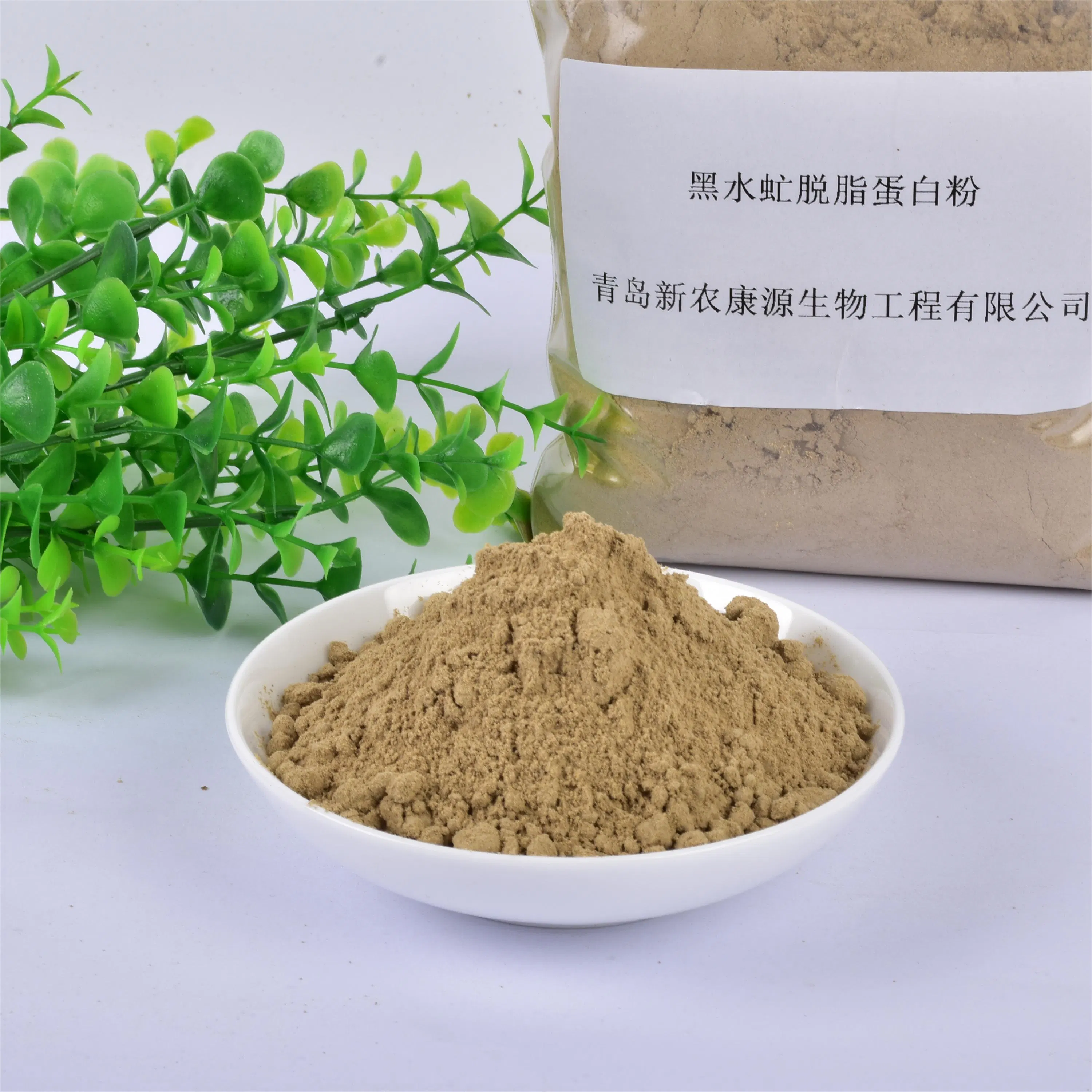 Banner del producto Defatted Black Soldier Fly Powder