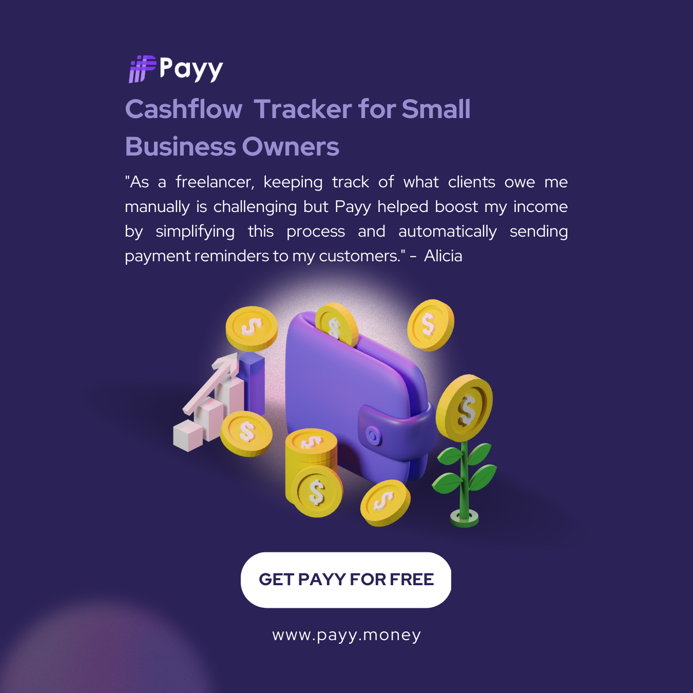 Payy Cashflow Tracker media 1