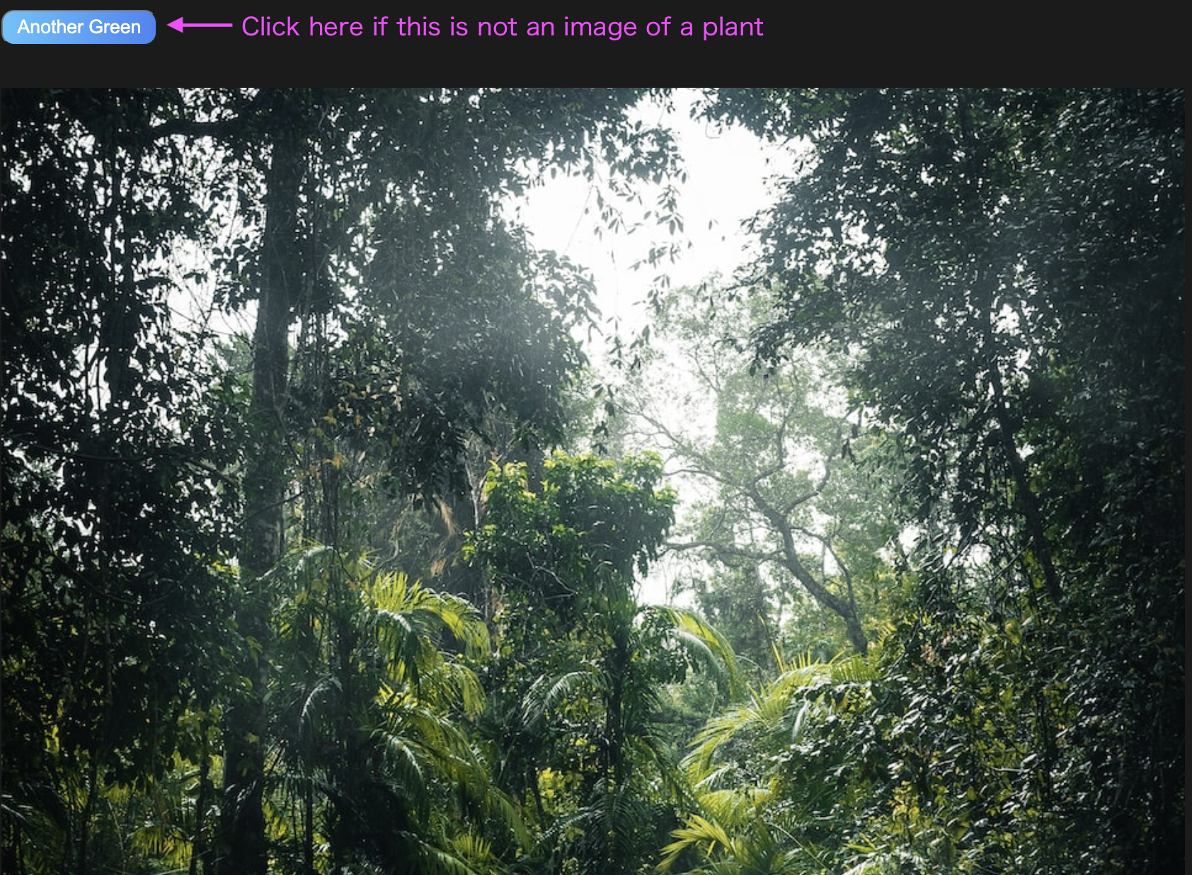 Mídia 2 de Plantas digitais