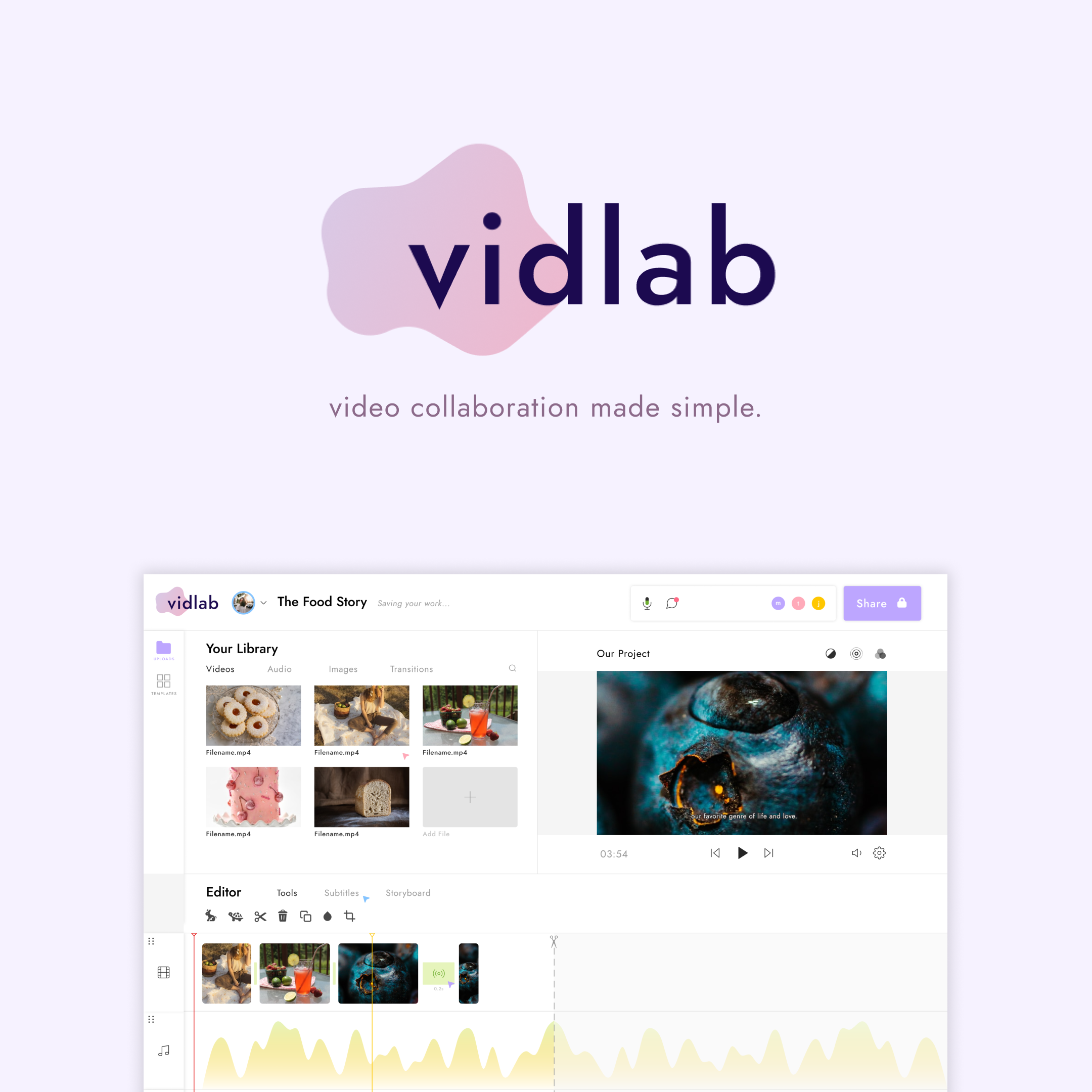 vidlab gallery image