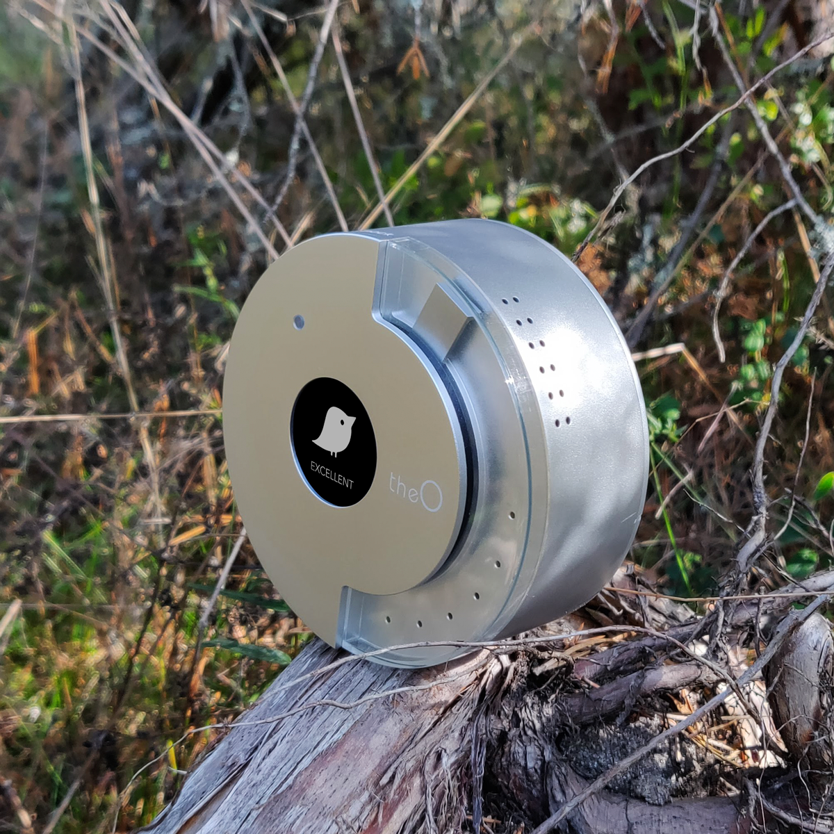 theO: Smart Indoor Environment Sensor gallery image