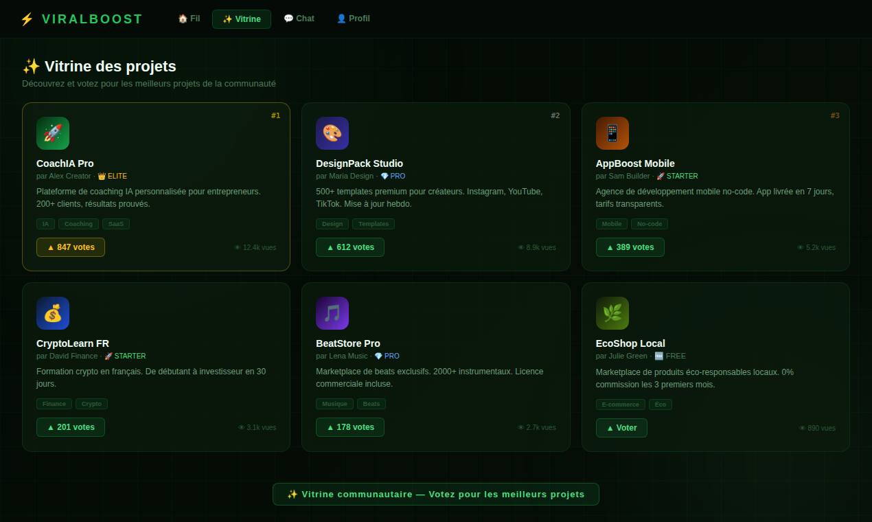 ViralBoost  gallery image