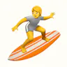 Plugin Surf logo