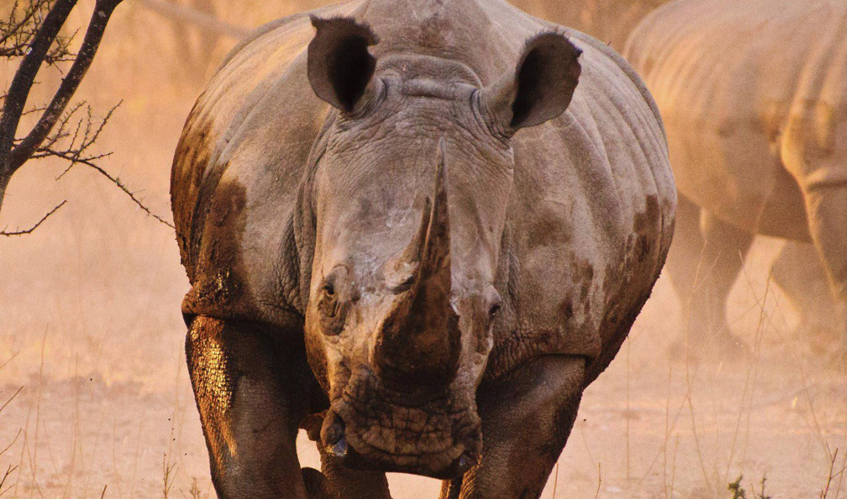 Smash Communications